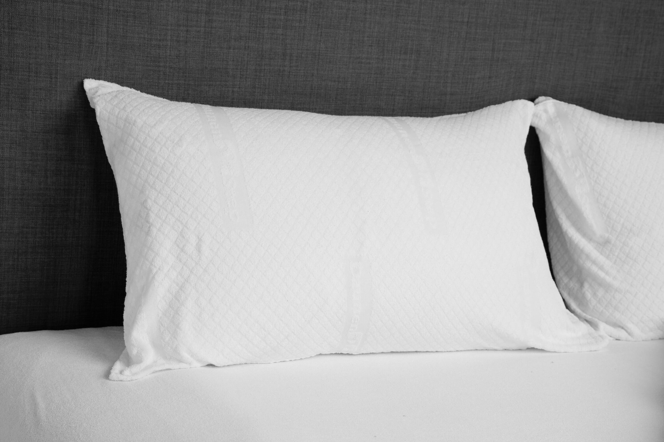 Care Soft Coppia di Federe Proteggi Cuscino Cotone e Poliestere