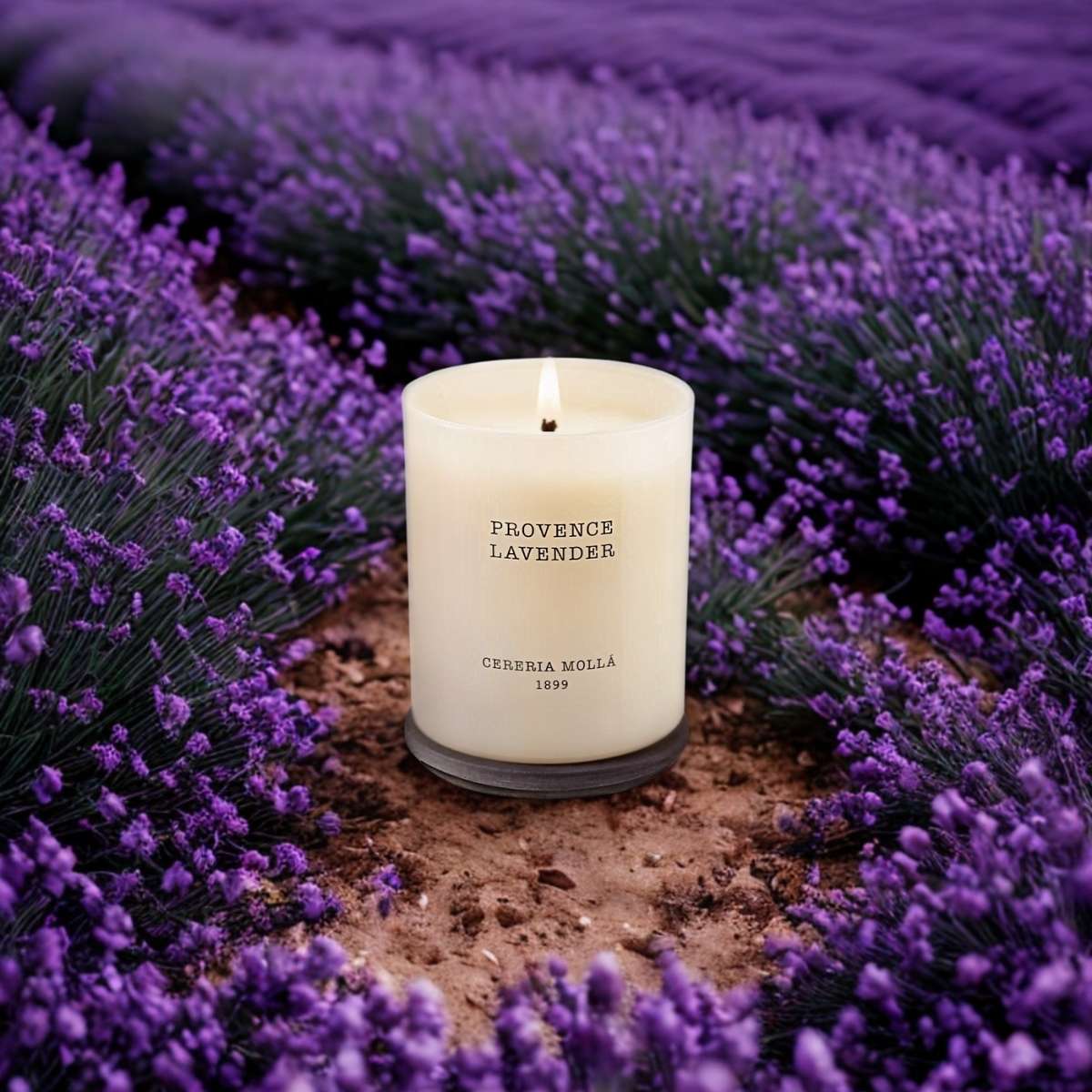 Candela Lavanda Provenzale 230gr - immagine 2